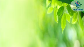 Our relationship with the environment